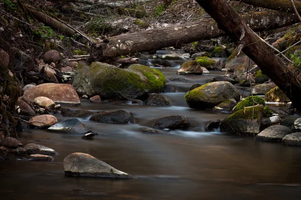 Un pequeño río con piedras —  Fotos de Stock