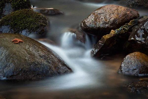 Маленькая речка с камнями — стоковое фото