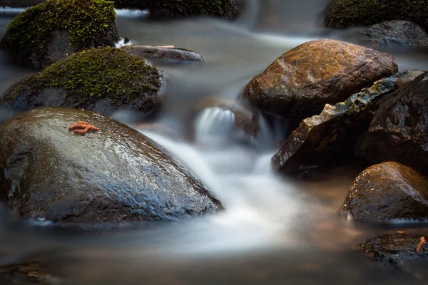 Ένα μικρό ποτάμι με πέτρες — Φωτογραφία Αρχείου