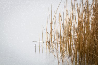 Sahilde su damlaları.