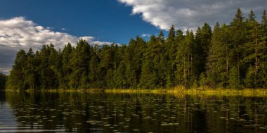 Yazın güzel kuzey manzarası