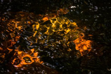 Suda yanan balıklar.