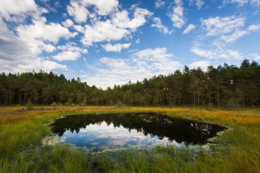 bulutlar ve yansımaları ile orman göl