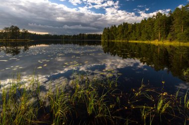 bulutlar ve yansımaları ile orman göl