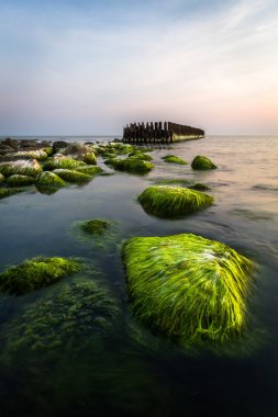 pape içinde taş olan eski waterbreak