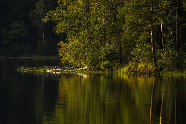 Beautiful North Landscape Summer — 스톡 사진