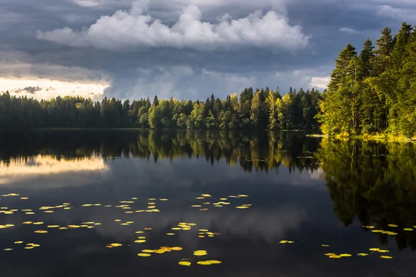Forest lake with clouds and reflections — Stock Photo, Image