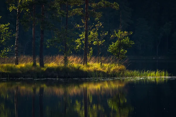 Lac forestier avec nuages et reflets — Photo