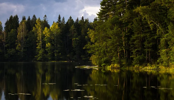 Skogstjärn med moln och reflektioner — Stockfoto