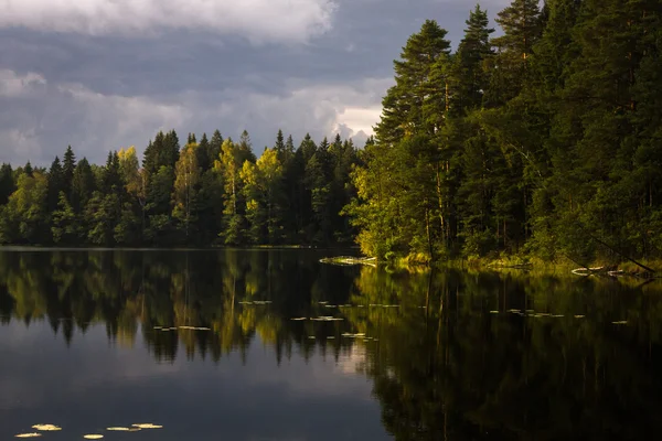 Forest lake met wolken en reflecties — Stockfoto