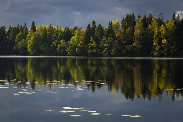 Forest lake met wolken en reflecties — Stockfoto