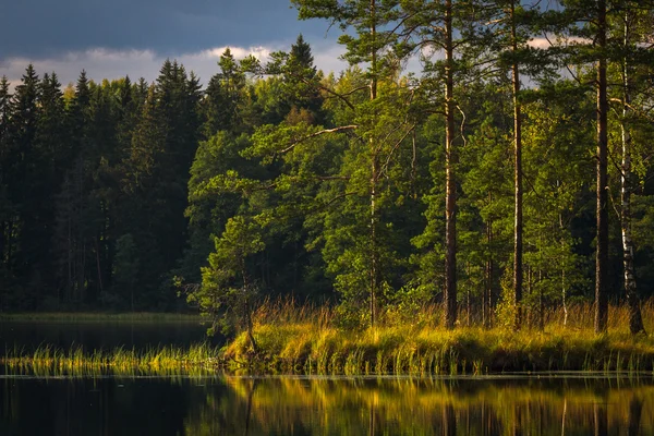 Lago florestal com nuvens e reflexões — Fotografia de Stock