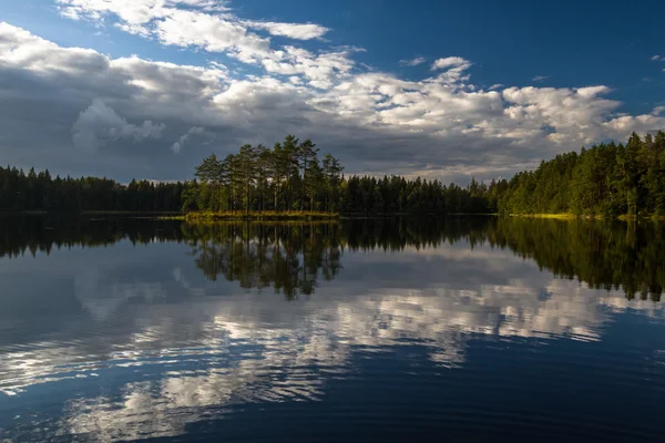 Лесное озеро с облаками и отражениями — стоковое фото