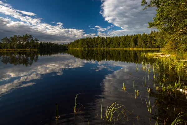 Лесное озеро с облаками и отражениями — стоковое фото