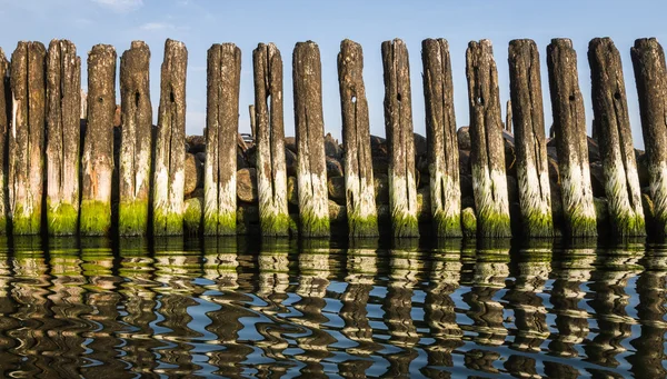 Old waterbreak in pape — Stock Photo, Image