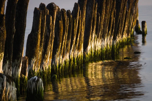 Velho waterbreak com pedras no pape — Fotografia de Stock