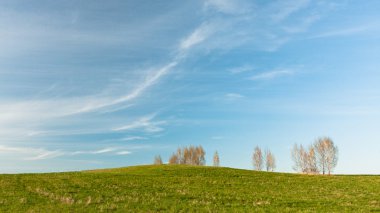 Bir güzel bahar çayır ve mavi gökyüzü manzara 