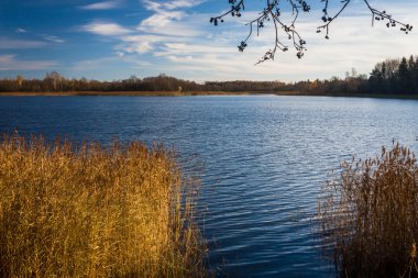 Sonbaharda göl manzarası