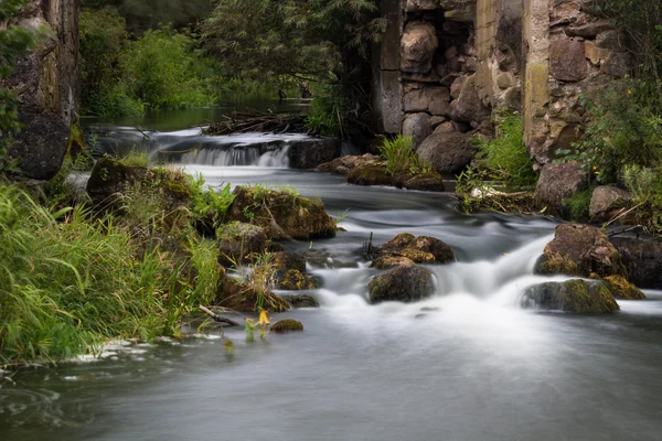 Studie vlivu dam — Stock fotografie