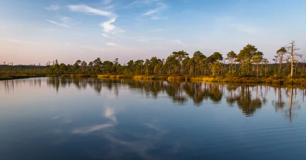 Bataklık göller ile orman