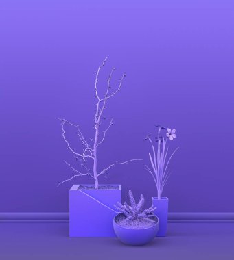 Dekoratif ev bitkilerinden oluşan düz tek renkli mor renkli iç oda, fotokopi alanı ve poster çerçevesi arka planı için. 3 boyutlu görüntüleme, tencere ve çiçekli boş oda