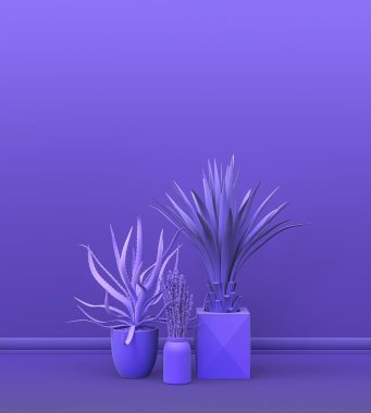 Fotokopi alanı ve çerçeve arkaplanı için mor odada katı renkli bir duvarın önünde birden fazla bitki var. 3 boyutlu görüntüleme, tencere ve çiçekli boş oda