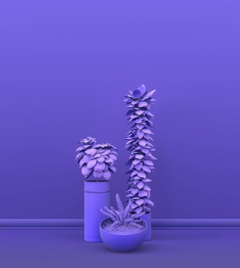 Fotokopi alanı ve çerçeve arkaplanı için mor odada katı renkli bir duvarın önünde birden fazla bitki var. 3 boyutlu görüntüleme, tencere ve çiçekli boş oda