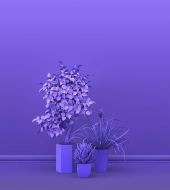 Tek renk mor çiçeklerden oluşan bir bitki ve çiçek grubu. Fotokopi alanı ve poster çerçevesi için boş bir iç oda. 3 boyutlu görüntüleme, saksılı ve çiçekli oda