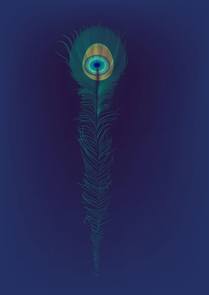 Tavuskuşu'nın tüy