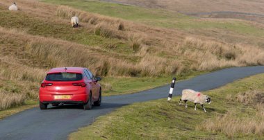 Yorkshire Dales 'de köy yolunda bir araba.