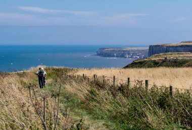 Doğu Yorkshire kıyıları Bempton 'da
