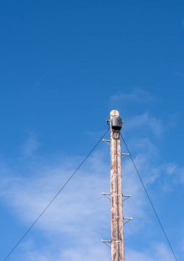 Mavi gökyüzü arka planında destek kabloları olan tek bir telgraf direği..