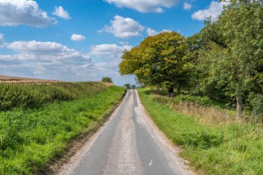 Doğu Yorkshire 'da güneşli bir günde mavi gökyüzü olan bir köy yolu..