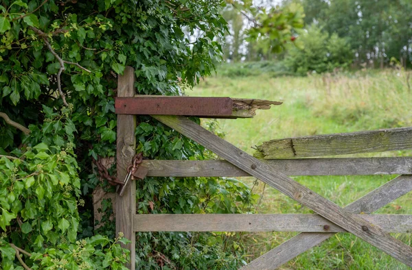 Wooden Gate Broken Slat Secured Rusty Padlock Chain — Stock Photo, Image