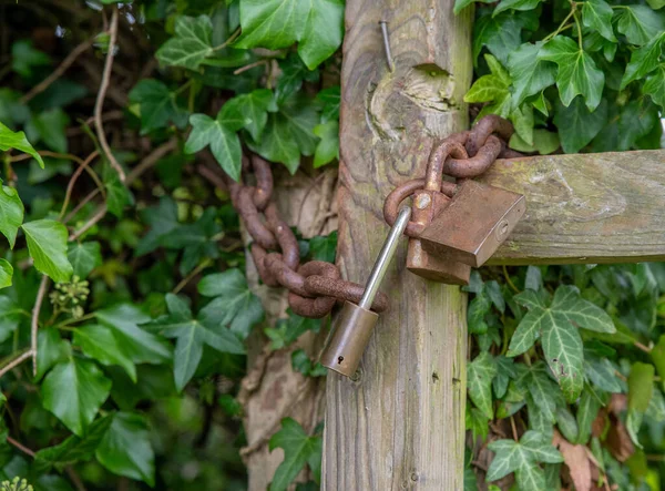 錆びた鎖と3本の古い南京錠で固定された木製の門の閉鎖 — ストック写真