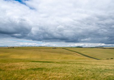 Güneşli bir günde kara bulutların olduğu yuvarlanan tepelerin ve buğday tarlalarının renkli manzarası.
