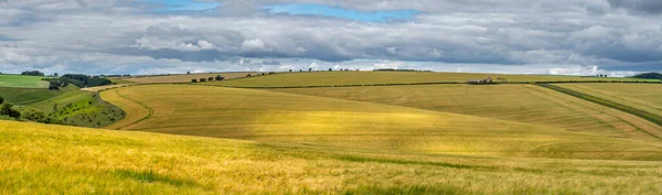Красочный Пейзаж Над Холмами Пшеничными Полями Солнечный День Темными Облаками — стоковое фото