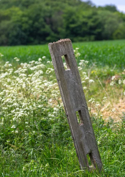 Ein Alter Hölzerner Zaunpfahl Mit Löchern Und Übergebeugt Mit Feld — Stockfoto