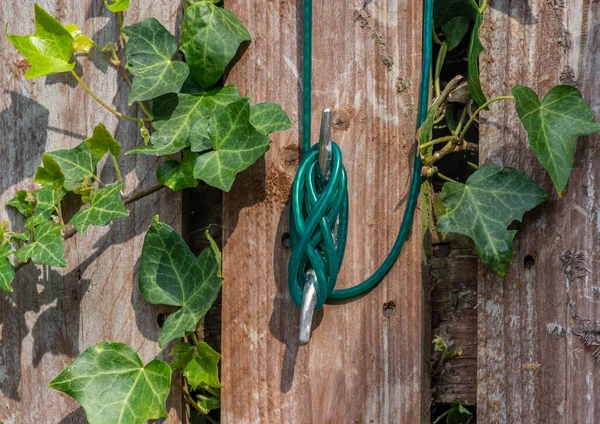 Green Washing Line Tethered Wooden Fence Metal Hook — Stock Photo, Image