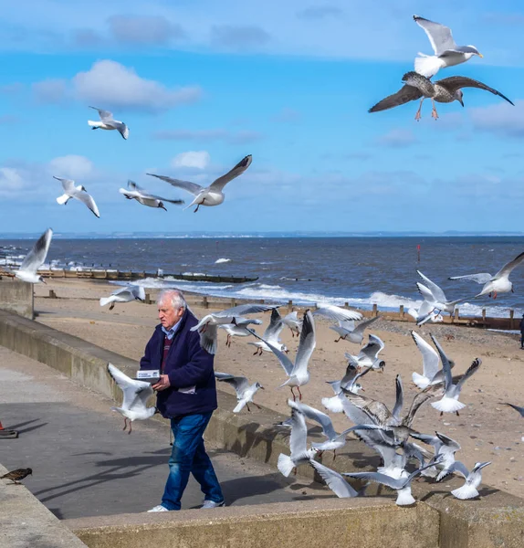 Homme Avec Des Poissons Des Croustilles Matraqués Par Des Mouettes — Photo