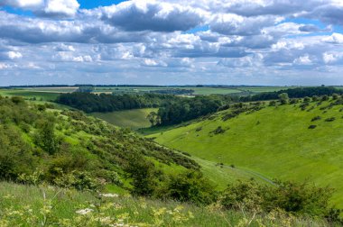 Doğu Yorkshire İngiltere 'deki Wolds manzarası