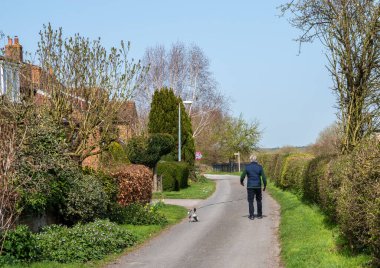 Güneşli bir günde küçük bir köpeği gezdiren bir adam..