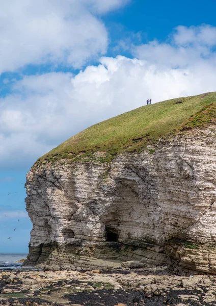 Flamborough East Yorkshire Mei 2021 Een Hoge Kalkstenen Klif Met — Stockfoto