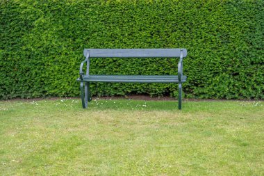 Arka planda yeşil bir çit olan çimenlikte yeşil ahşap ve metal bir bank..