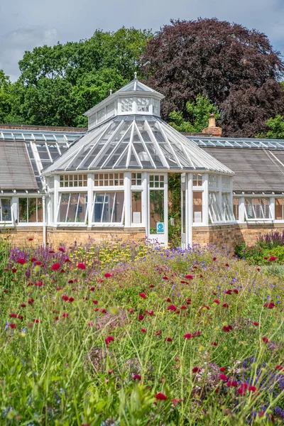 Utsikt Över Vild Blomsterträdgård Ett Stort Vitt Inramat Glashus Solig — Stockfoto