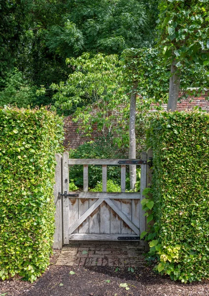 Portão Slatted Madeira Weathered Jardim Através Uma Sebe Verde — Fotografia de Stock