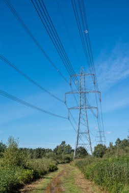 Güneşli bir günde mavi gökyüzü arka planında sütunları olan yüksek voltajlı elektrik hatları.