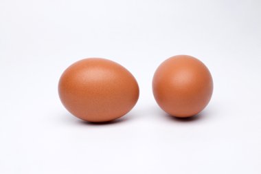 yumurta yumurta yumurta yumurta