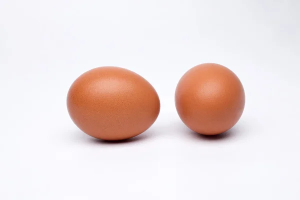 yumurta yumurta yumurta yumurta