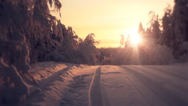 Hermoso amanecer (puesta de sol) en el bosque de invierno . — Vídeo de stock